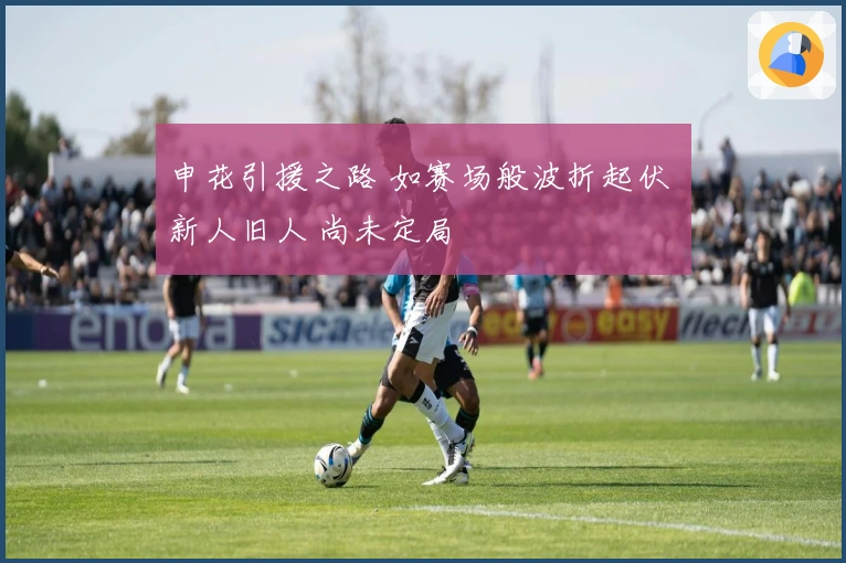 申花引援之路 如赛场般波折起伏 新人旧人 尚未定局