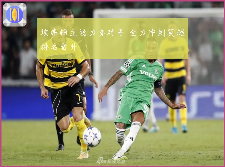 埃弗顿主场力克对手 全力冲刺英超排名晋升